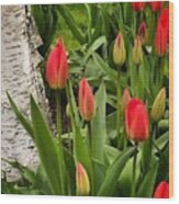 Spring Tulips #1 Wood Print