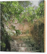 Steps Near Cenote - Chichen Itza Wood Print