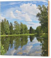 Summer Lake Landscape In Park #1 Wood Print