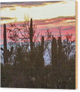 Sunrise - Saguaro National Park #1 Wood Print