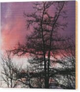 Sunset In Timberlea,  Nova Scotia. #1 Wood Print