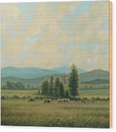 Sweet Virginia Breeze Wood Print