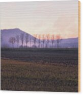 The Mist Settles In The Valley After Sunset Wood Print