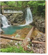 The Vintgar Gorge, Slovenia #1 Wood Print