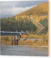 Trans-alaska Pipeline And Dalton Highway #1 Wood Print