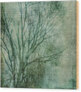 Tree Mist #1 Wood Print