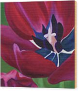 Tulips #1 Wood Print