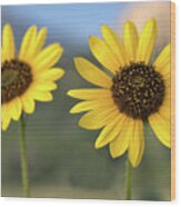 Two Sunflowers #1 Wood Print