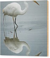 Wading Egret And Reflection Wood Print