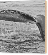 Whale Tail #1 #1 Wood Print