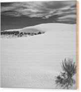 White Sands #1 Wood Print