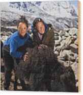 Young Nepali Girls Playing With Yaks #1 Wood Print