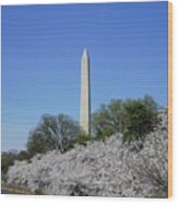 Cherry Blossoms Washington Dc #10 Wood Print