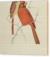 Beautiful Vintage Bird #1018 Wood Print