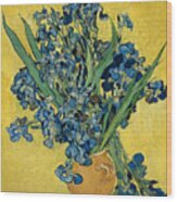 Irises Painting by Vincent Van Gogh - Fine Art America