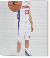 Blake Griffin #17 Wood Print