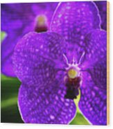 Purple Orchid Flowers #17 Wood Print