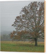 Cades Cove 2 Wood Print