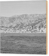 Catalina Island Black And White Photo #2 Wood Print