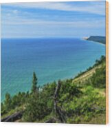 Dune View From Empire Bluffs #2 Wood Print