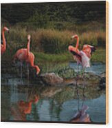 Flamingo Convention #2 Wood Print
