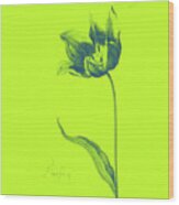 Great Tulip Book  #2 Wood Print