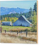 Horse And Old Barn In Pasture Along The Teanaway  #2 Wood Print
