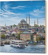 Istanbul The Capital Of Turkey #2 Wood Print