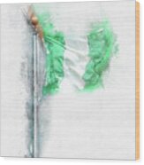 National Flag Of Nigeria On A Flagpole, Isolated On White Background Wood Print
