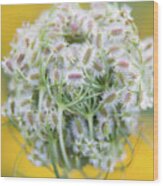 Queen Anne's Lace #2 Wood Print