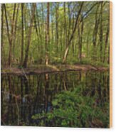 Spring In Hudson Valey #4 Wood Print