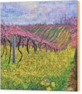 Spring Vineyard #2 Wood Print