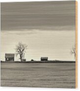 The Vast Forgotten -  Farmhouse On The Vast Nd Prairie Wood Print