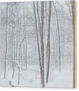 Winter Blizzard Wood Print