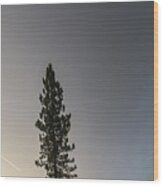 Yosemite National Park In California Early Morning #21 Wood Print