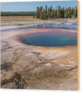 Grand Prismatic Spring In Yellowstone National Park #25 Wood Print