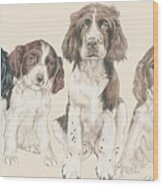 English Springer Spaniel Puppies Wood Print
