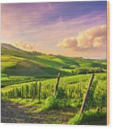 Langhe Vineyards View, Barolo And La Morra, Piedmont, Italy Euro Wood Print