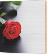 Red Rose On Black And White Background Wood Print