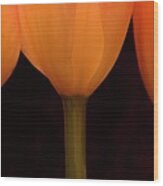 3 Tulips Wood Print