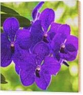 Purple Orchid Flowers #31 Wood Print