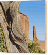 Arches National Park #32 Wood Print