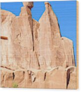 Arches National Park #37 Wood Print