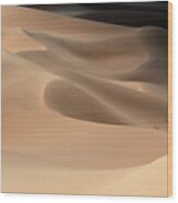 Gobi Desert #4 Wood Print