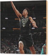 Malcolm Brogdon #4 Wood Print