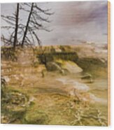 Mammoth Hot Springs #4 Wood Print