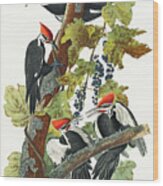 Pileated Woodpecker #4 Wood Print