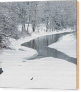 Snow Along Gauley River #4 Wood Print
