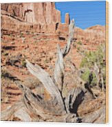 Arches National Park #44 Wood Print