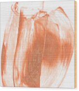 0046-blush Velvet Wood Print